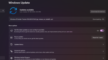 Windows 11 Windows Update settings with Advanced options for optional updates, official Microsoft image