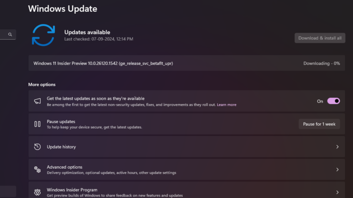 Windows 11 Windows Update settings with Advanced options for optional updates, official Microsoft image