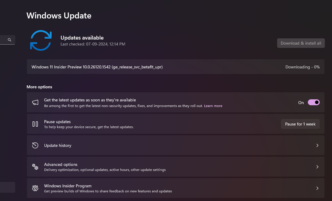 Windows 11 Windows Update settings with Advanced options for optional updates, official Microsoft image